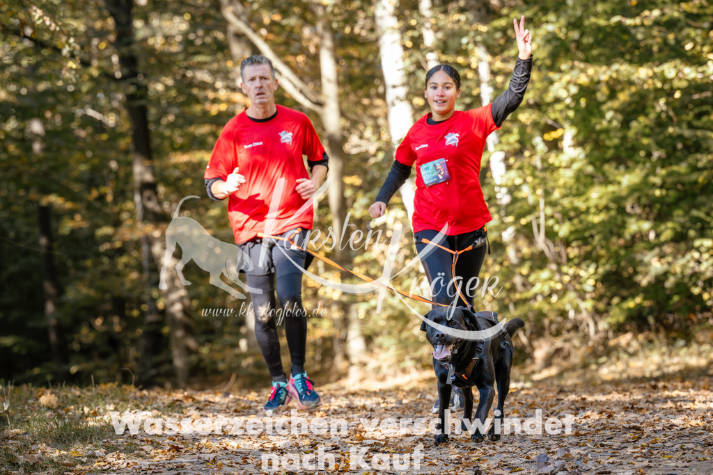 1228_ZZ95311 | kk-dogfotos