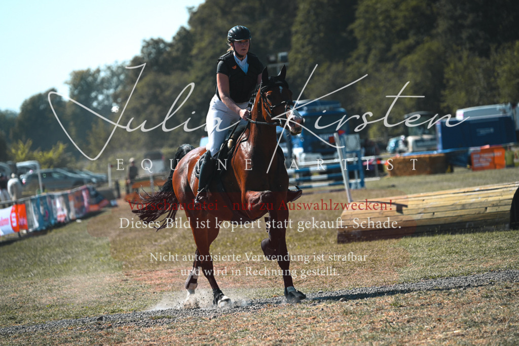 DSC_8125 | Pferde- und Turnierfotografie in Westsachsen. Pferdeportraits, Auftragszeichnungen und intuitive Kunst.