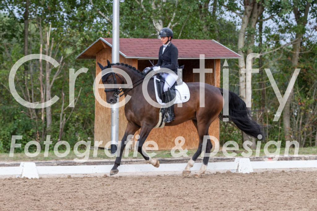 IMG_5885 | Creatify Fotografie