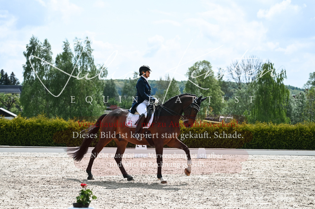 20230514_JK-Röhrsdorf-19-141 | Pferde- und Turnierfotografie in Westsachsen. Pferdeportraits, Auftragszeichnungen und intuitive Kunst.