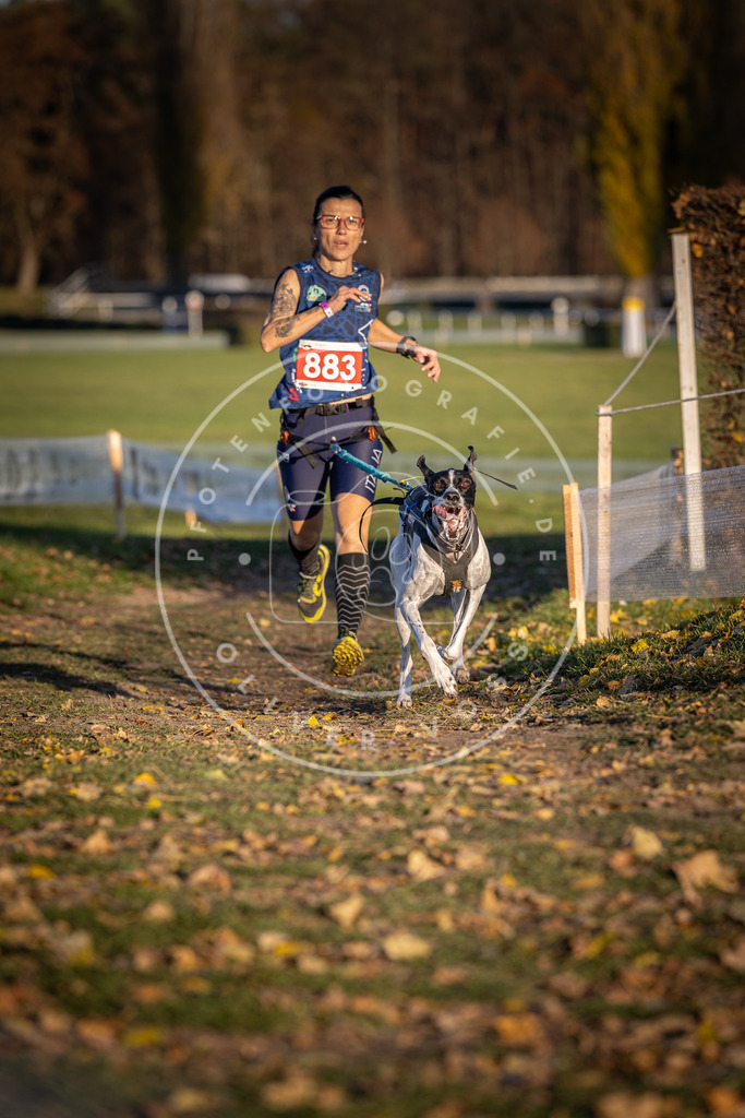 CaniXpix_DV3A4381 | Hundefotografie, Tierfotograf, Pfotenfotografie, Fotoshooting Hund, Hunde Portrait, Hundesport, Hundeportraits, Heideshooting, Hunde, Sportfotograf, Hundefotograf, Turnierhundsport, THS,  - Realisiert mit Pictrs.com