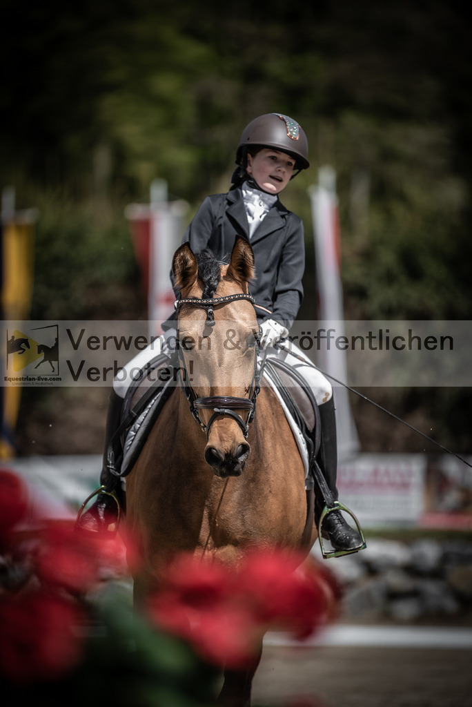DSC_0843 | equestrian-live-com