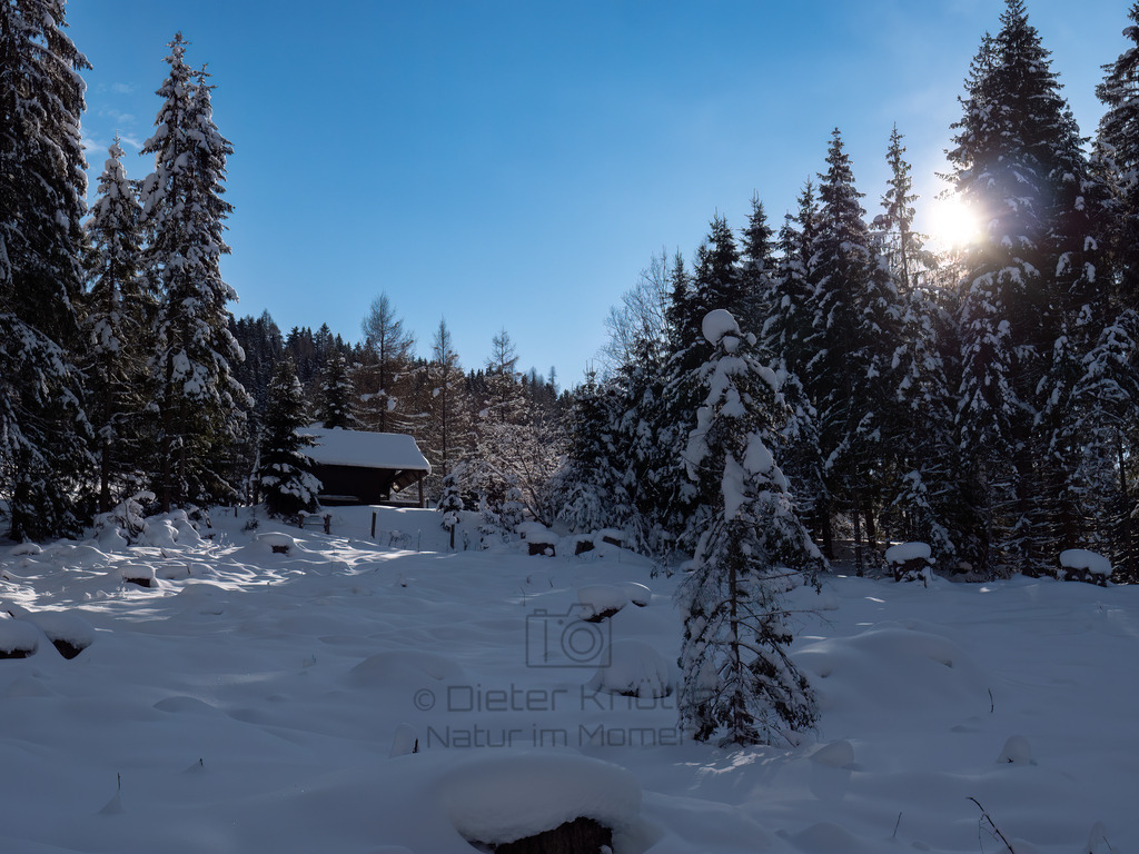 P1433367-Bearbeitet-2019-LR | Natur im Moment - Realisiert mit Pictrs.com