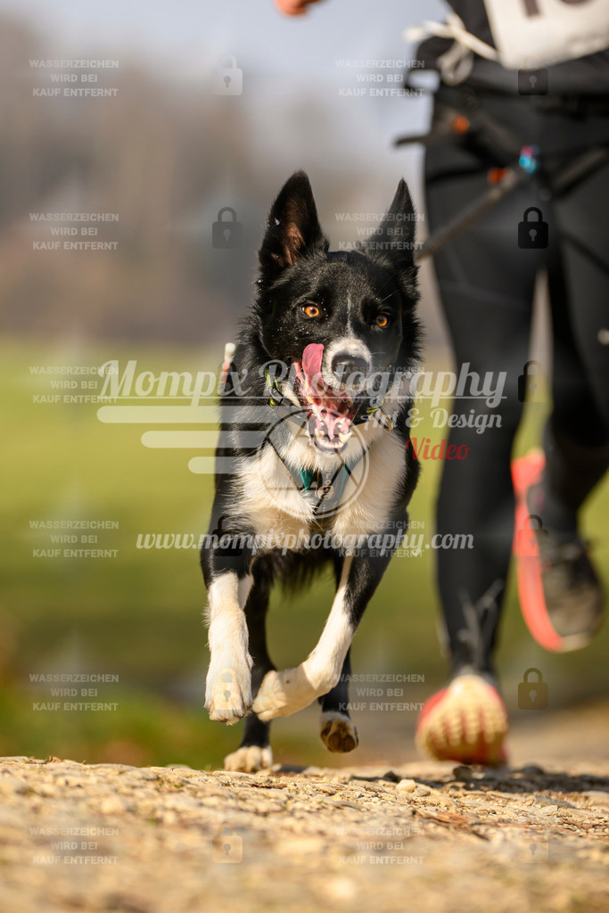 MompixPhotography_6ReiatRennen2026_SA_HappyDog-151 | PayLife