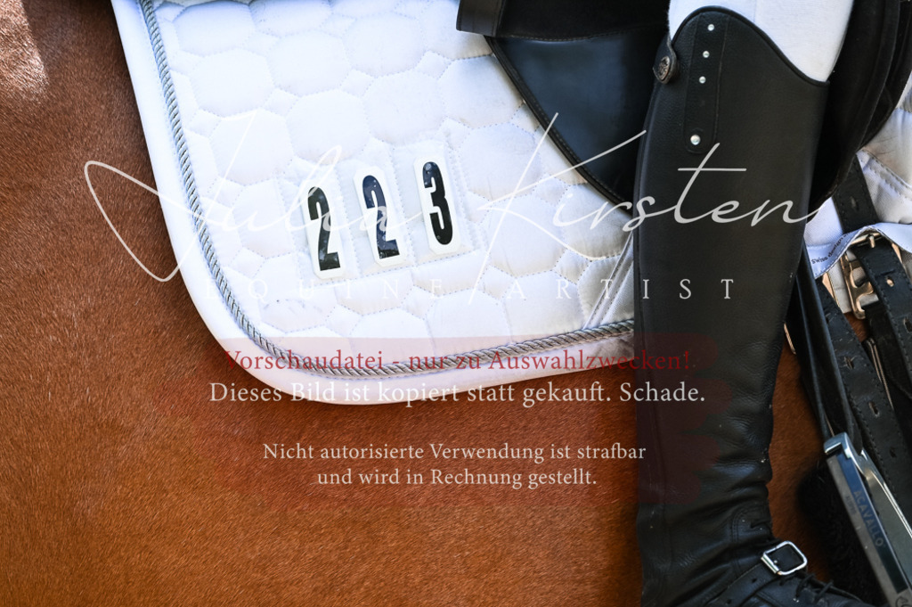 DSC_8990 | Pferde- und Turnierfotografie in Westsachsen. Pferdeportraits, Auftragszeichnungen und intuitive Kunst.