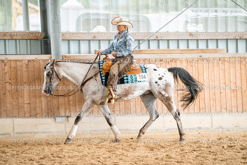 DSC00628 | Pferdegrafie