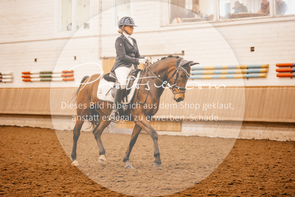 3I6A1716 | Stimmungsvolle Portraits und Reitsportfotografie im Ruhrgebiet und im Münsterland.

Pferdefotografie, Hundefotografie, Tierfotografie, Reportagen, Portraits von Tier und Mensch, Turnierfotografie in Bochum, Recklinghausen, Marl, Haltern am See, Dülmen.. - Realisiert mit Pictrs.com