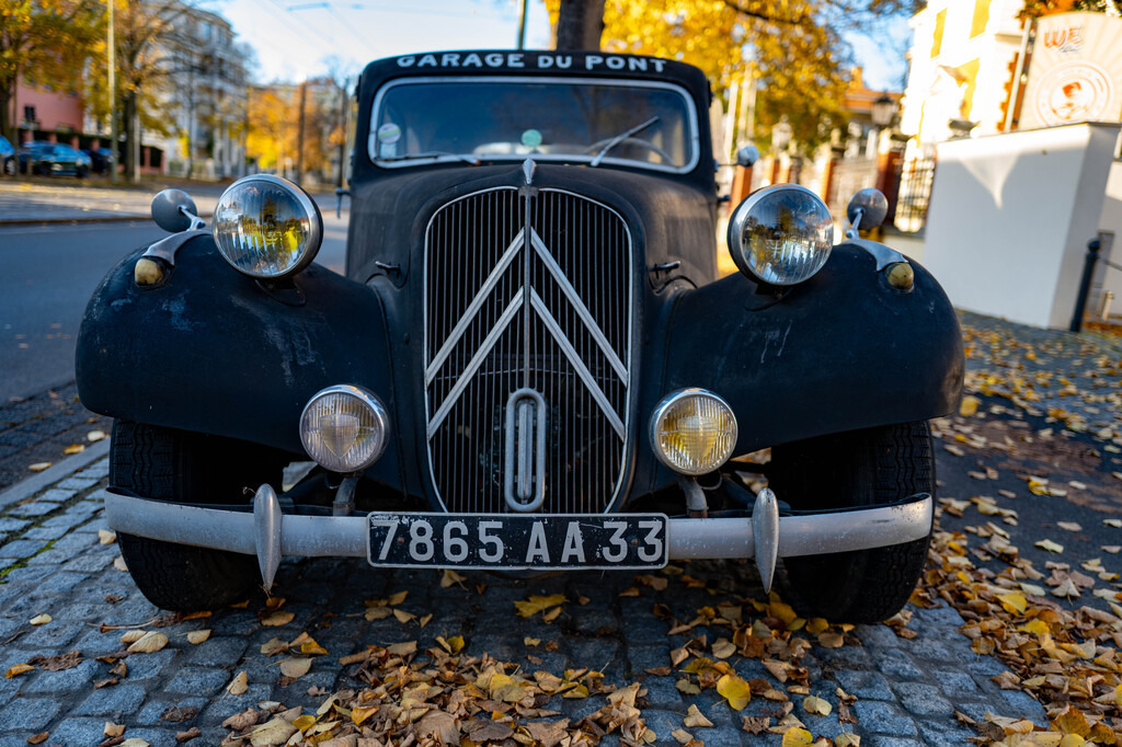 Potsdam (38) | hgt-foto