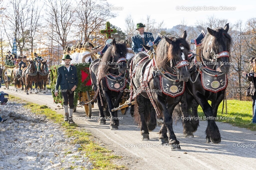 LBT24-1281 | foto-bettina-krinner - Realisiert mit Pictrs.com