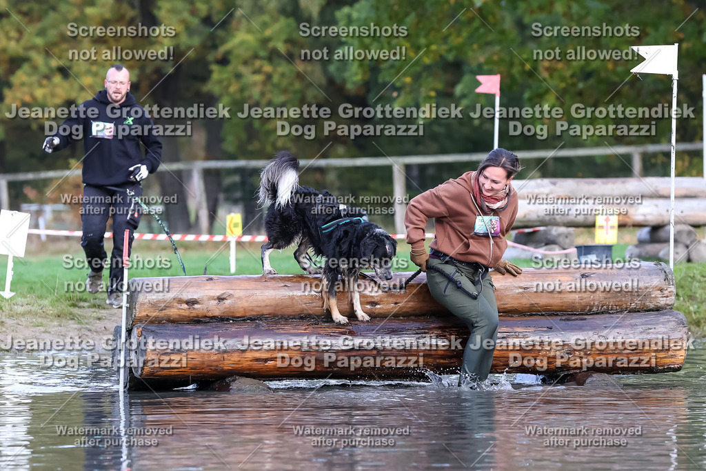 Dog Paparazzi - Strongdog 10-25-6935 | Dog Paparazzi Jeanette Grottendiek Fotografie & Videografie - Realisiert mit Pictrs.com