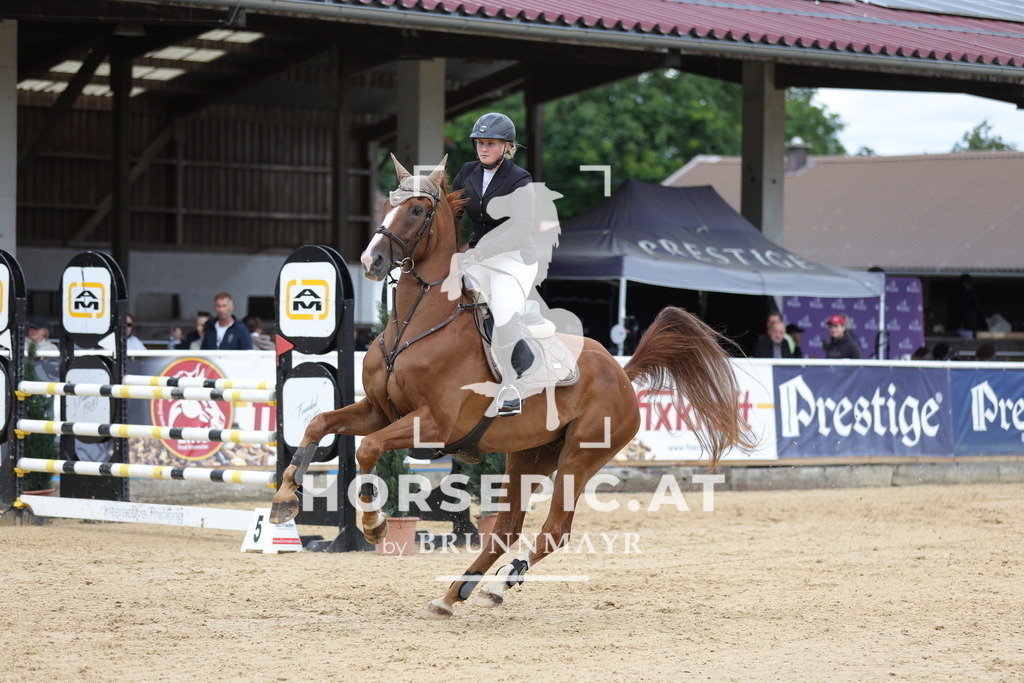 0P6A4547 | Willkommen bei Brunnmayr - Design & Fotografie – Ihrem Spezialisten für Reitturniere und Pferdeveranstaltungen in Oberösterreich, Salzburg und Bayern! Seit über 17 Jahren sind wir leidenschaftlich dabei.