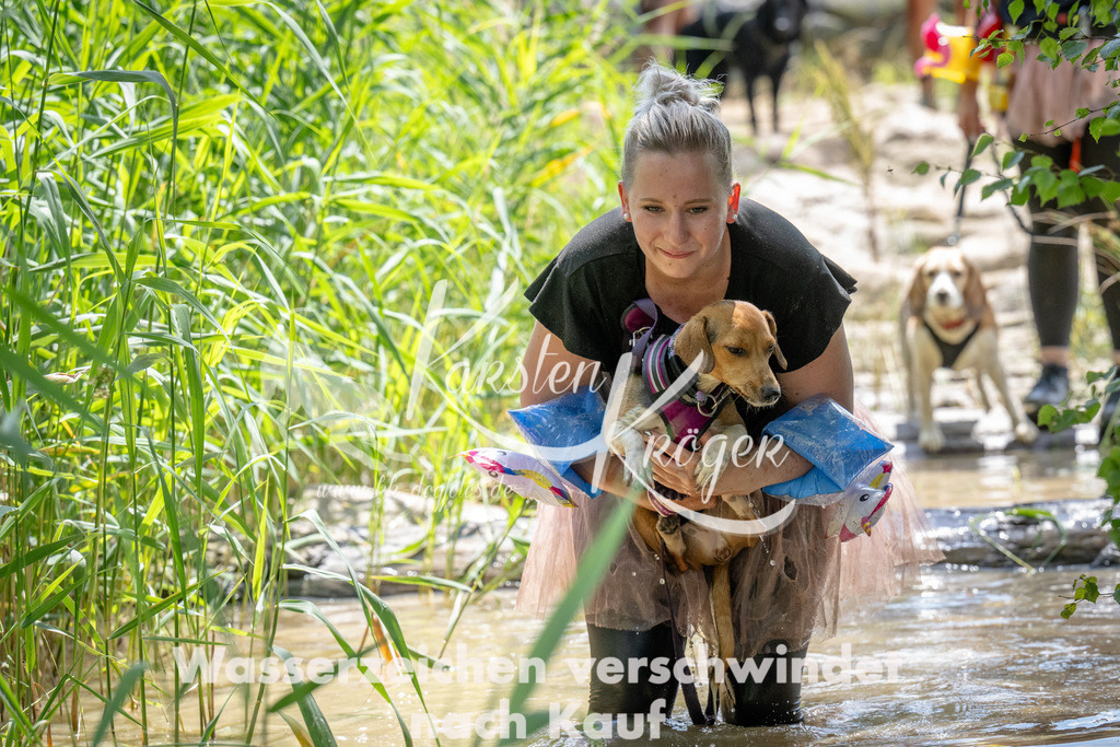 1408_ZZ93214 | kk-dogfotos