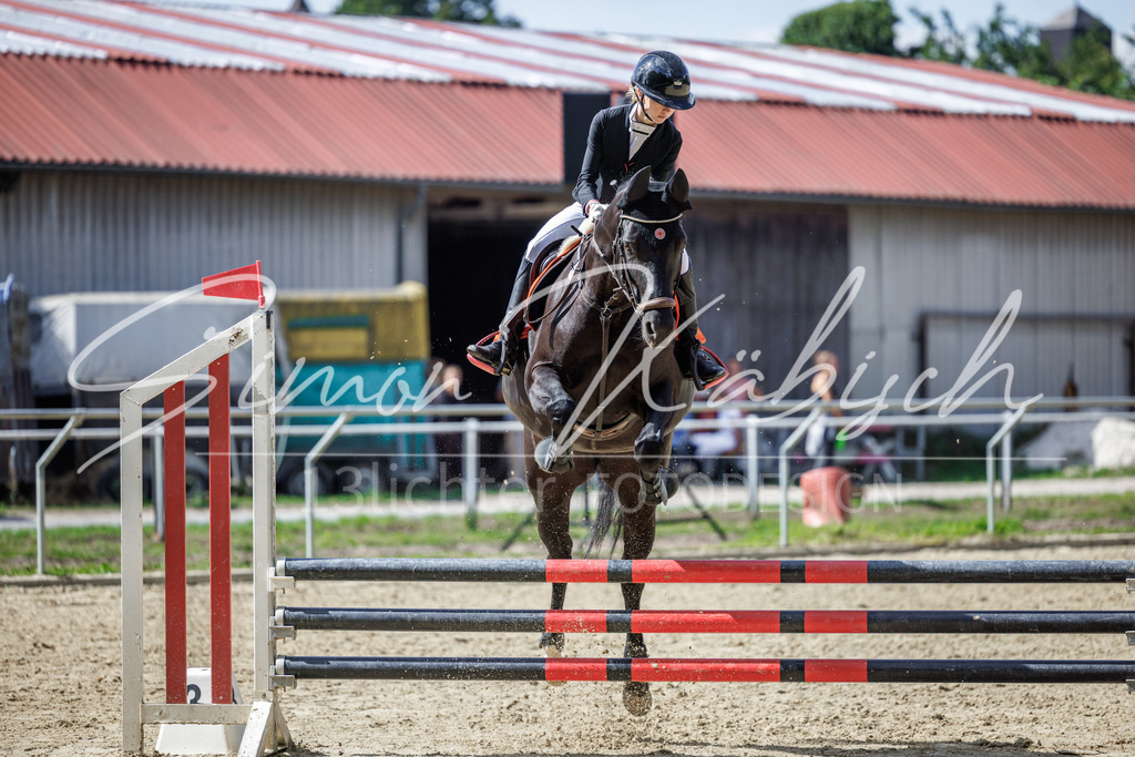 20260905-_3LI8873 | Tierfotografie Pferde, Hunde, Katzen, Haustiere.
Turnierfotografie Reitturniere, Reiten, Springreiten, Dressur in Hanau, dem Main-Kinzig-Kreis und dem Rhein-Main- Gebiet um Frankfurt