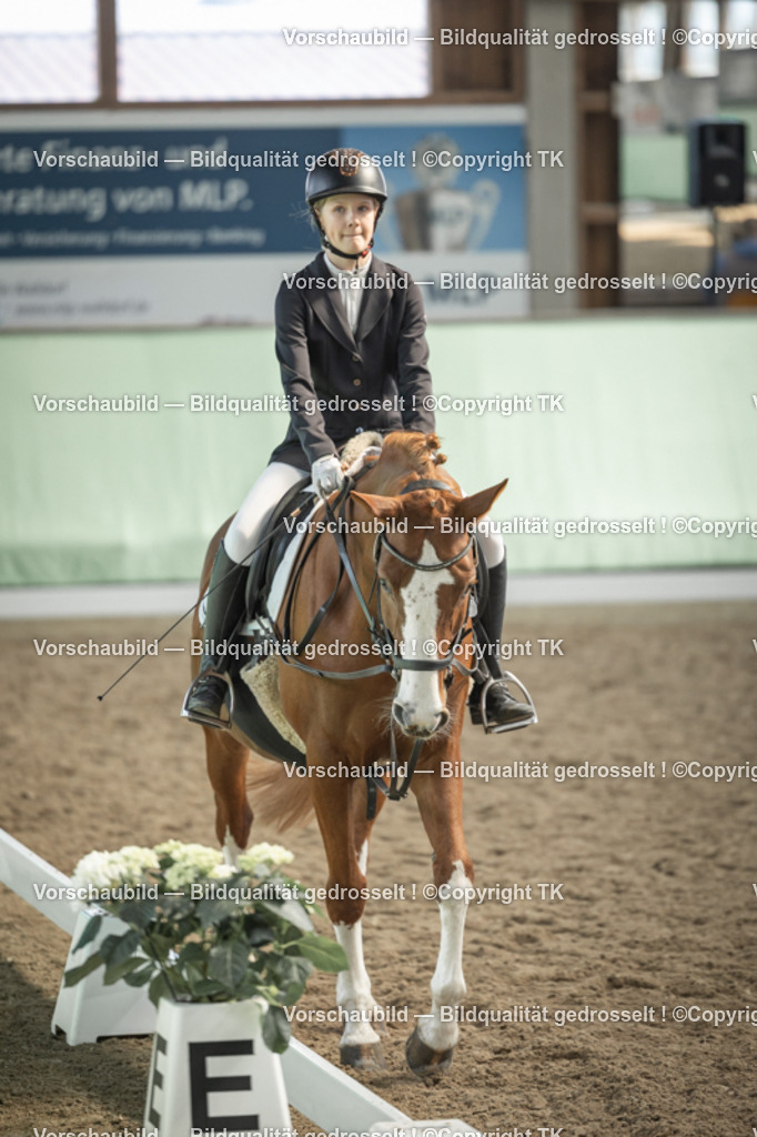 _D5A5502 | Emotionale Pferde- & People-Fotografie rund um Heidelberg, Leimen & Umgebung. Natürliche Fotos von Pferd, Mensch & Familie. Jetzt Termin sichern!