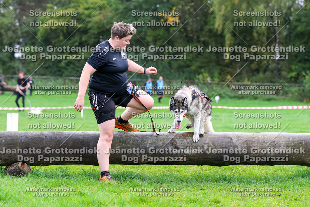 Dog Paparazzi -  SD1026-1051 | Dog Paparazzi Jeanette Grottendiek Fotografie & Videografie - Realisiert mit Pictrs.com