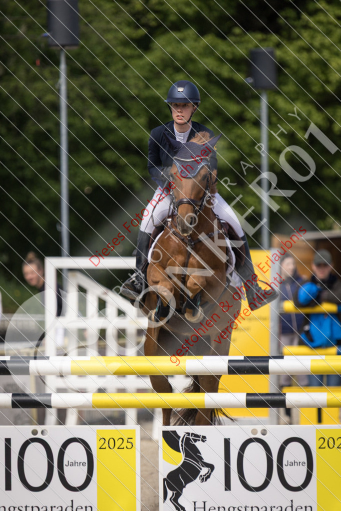 IMG_4697 | Sport-, Event- und Tierfotos in Profiqualität. Einfach auswählen, bestellen und herunterladen. Dein Moment – perfekt festgehalten.