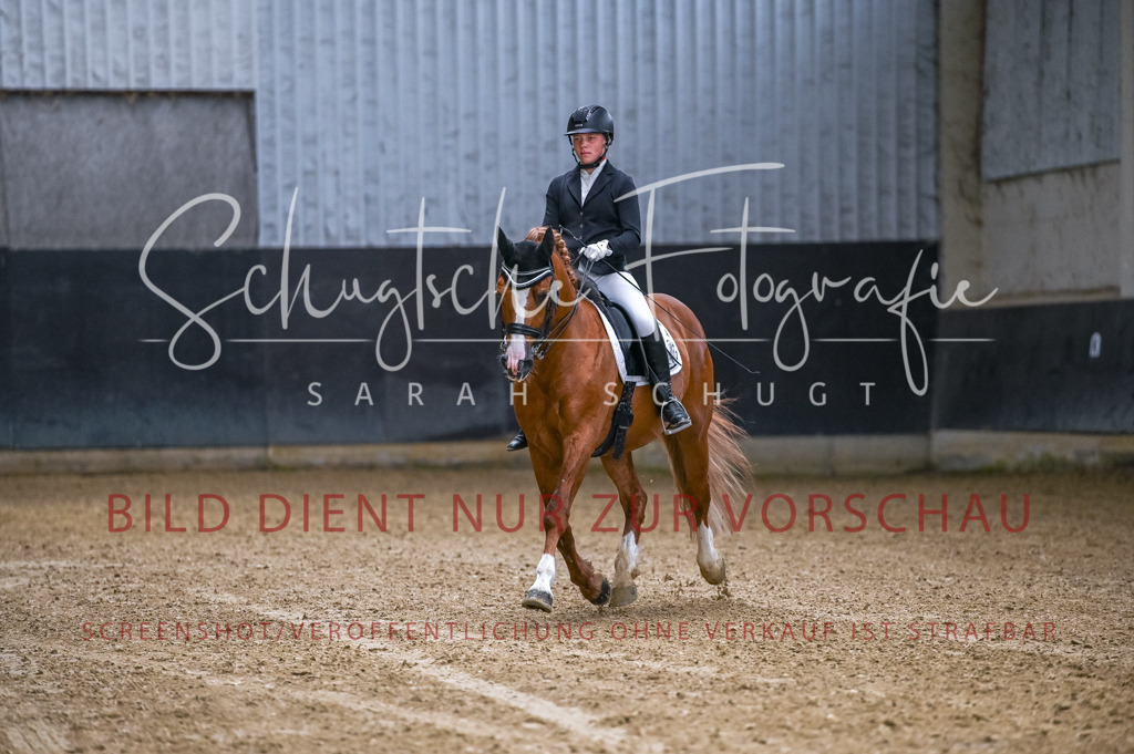 Schugtsche-Aluta25-56.Dressurprf.L1Kand.-20 | Schugtsche Fotografie - Realizzato con Pictrs.com