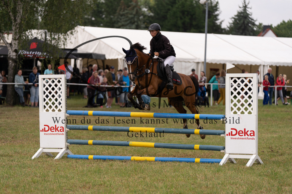 A7506056 | Turnier/Reitfotograf