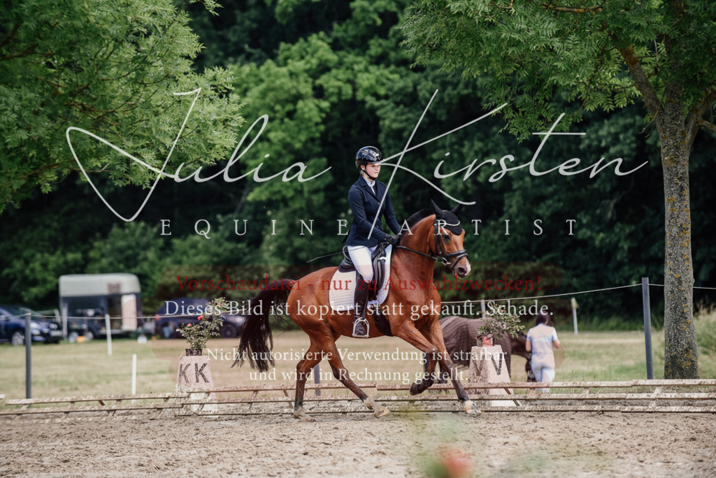 DSC_1780 | Pferde- und Turnierfotografie in Westsachsen. Pferdeportraits, Auftragszeichnungen und intuitive Kunst.