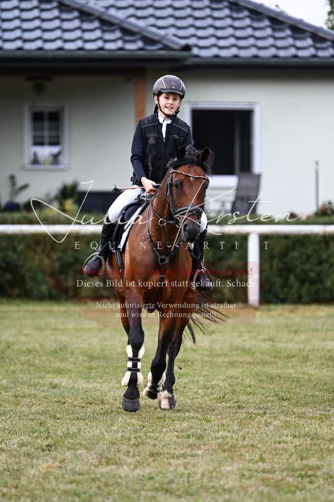 DSC_5434 | Pferde- und Turnierfotografie in Westsachsen. Pferdeportraits, Auftragszeichnungen und intuitive Kunst.