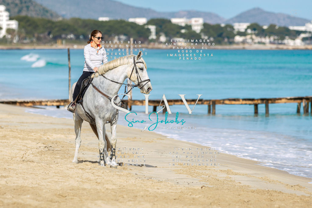 IMG_3057 | s-jay-photography - Realisiert mit Pictrs.com