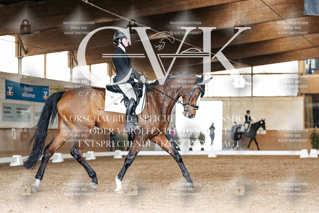CK901761 | Turnierfotografie Pferdefotografie Trier Rheinland-Pfalz Pferdesport Reitsport Tierfotografie Sportfotografie Pferdevideo Pferdevideografie Equestrianvideography equestrianphotography  - Realisiert mit Pictrs.com