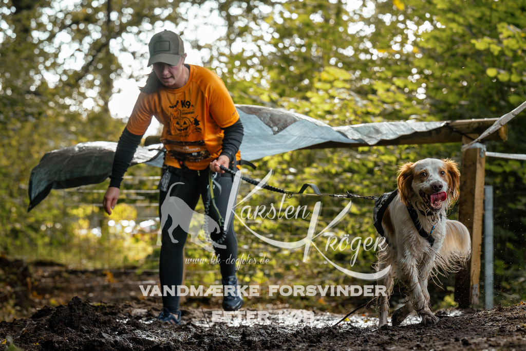 1454DZ6_3797Z6 | kk-dogfotos