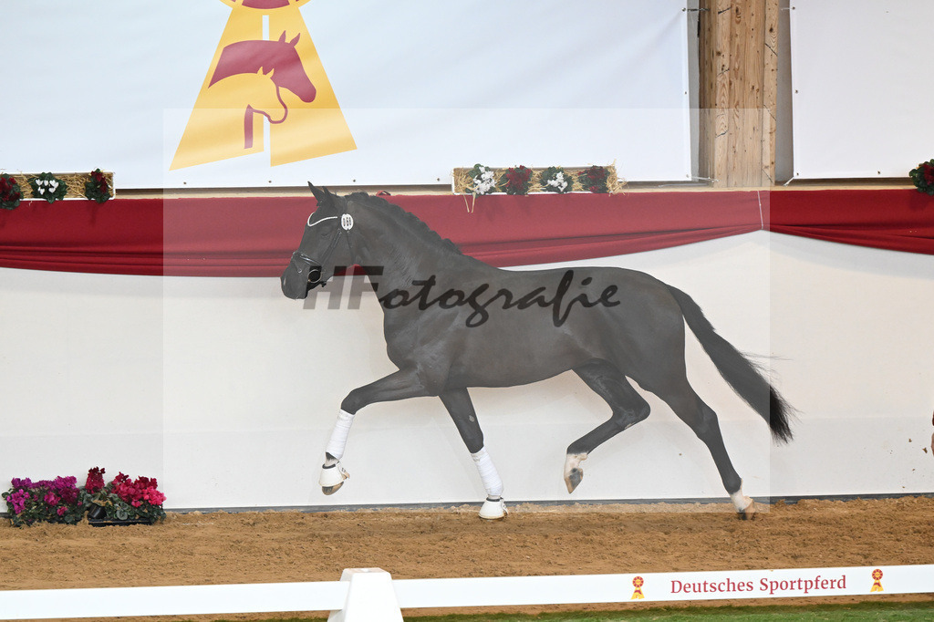 Kat-Nr. 68 Secret_Reich_1230612 | hf-fotografie - Realisiert mit Pictrs.com