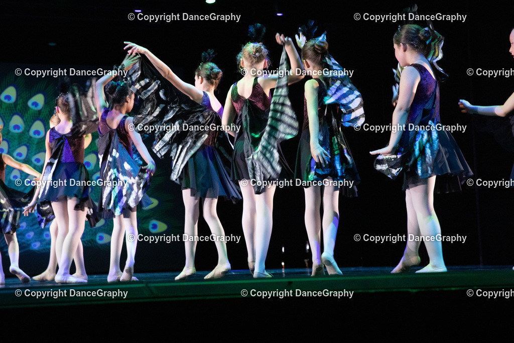 GPHY6161 | DanceGraphy - Realisiert mit Pictrs.com