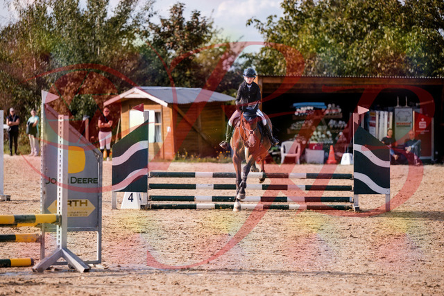 2026_10_03_Siefer-Hof_154648_Z81_65690635 | Professionelle Reitsport-, Turnier- und Eventfotografie von Robert Broda. Galerien mit ausgewählten und bearbeiteten Bildern direkt online ansehen und bestellen.
