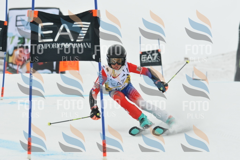 DSC_8441 | holidayphoto