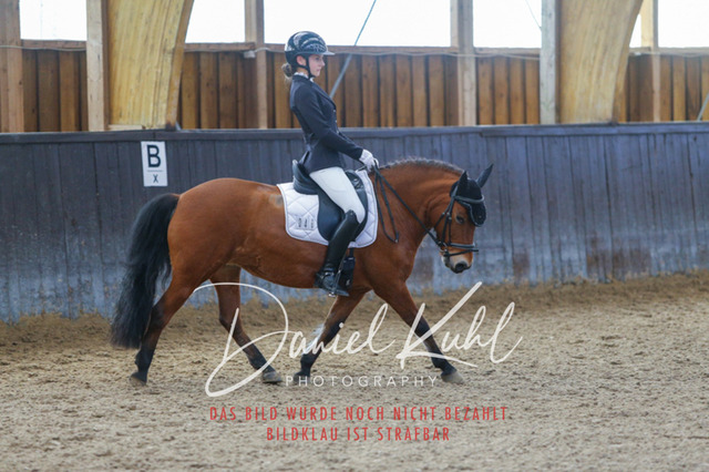 IMG_1157 | Turniersportfotografie; Pferdefotografie; Dressurfotografie