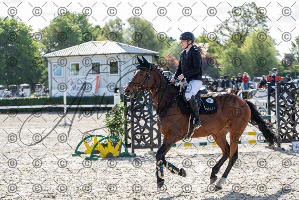 KPT_4594 | andre_photographic