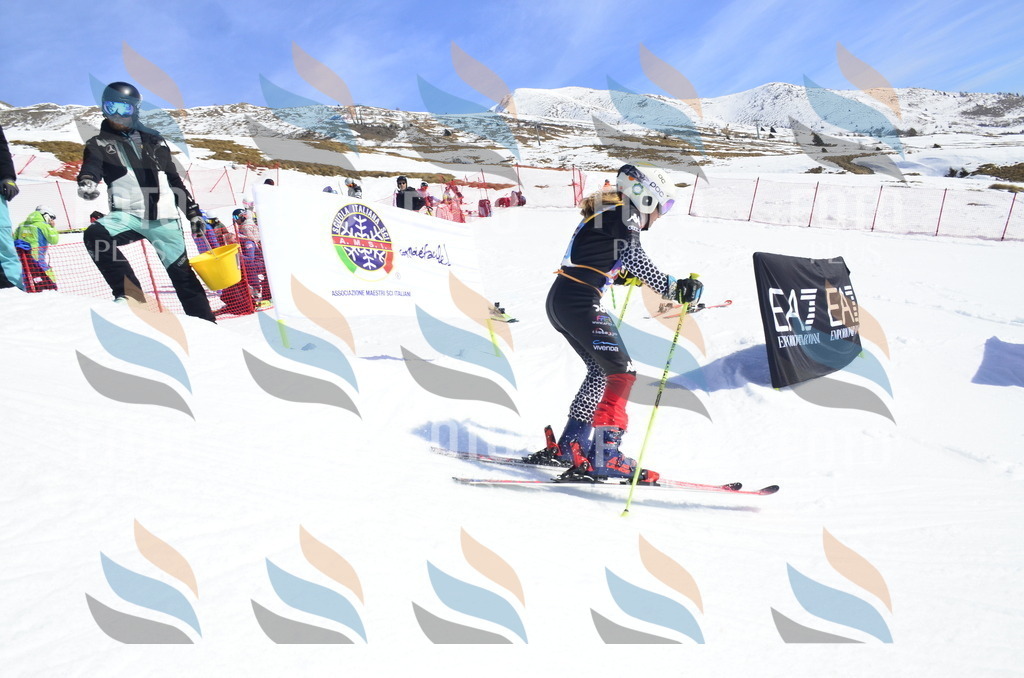 _ELE0862 | holidayphoto