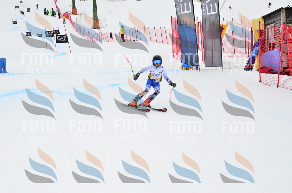 _ELE3950 | holidayphoto