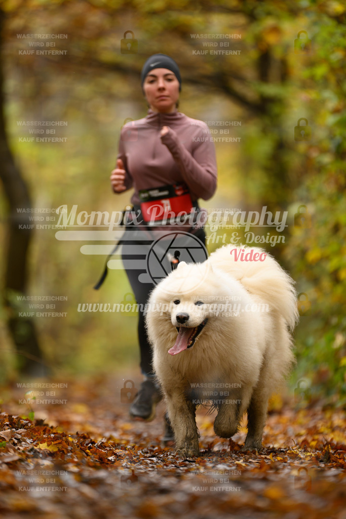 MompixPhotography_CD7S_DI_CCL-56 | mompixphotography