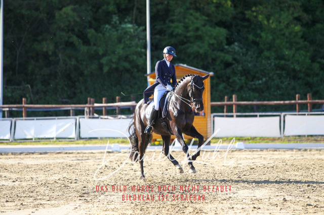 DKP42831 | Turniersportfotografie; Pferdefotografie; Dressurfotografie