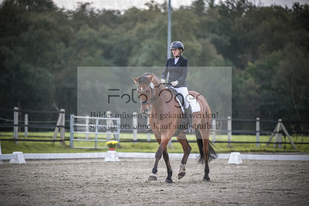 DOS_1713 | Entdecke hochwertige Reitturnierfotos von Foto Oger. Professionell, emotional und authentisch – jetzt Lieblingsmomente im Shop bestellen.Deutschlandweite Turnierfotografie. - Realisiert mit Pictrs.com