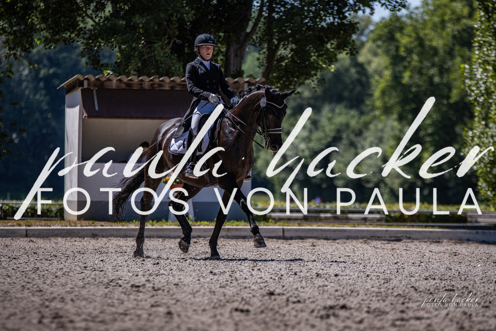IMG_8563 | Erleben Sie dynamische Sport- und emotionale Tierfotografie in Süddeutschland mit Fotos von Paula. Spezialisiert auf Pferde- und Hundefotografie sowie Sportevents. Kontaktieren Sie mich für einzigartige und ausdrucksstarke Bilder Ihrer besonderen Momente.