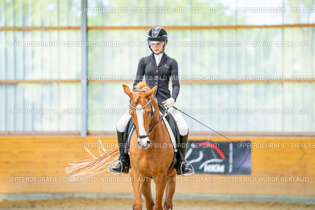 DSC08120 | Pferdegrafie