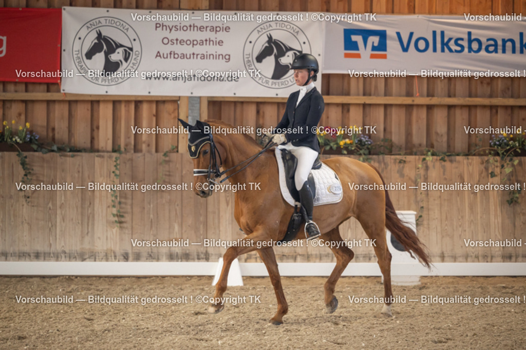 _D5A2759 | Emotionale Pferde- & People-Fotografie rund um Heidelberg, Leimen & Umgebung. Natürliche Fotos von Pferd, Mensch & Familie. Jetzt Termin sichern!