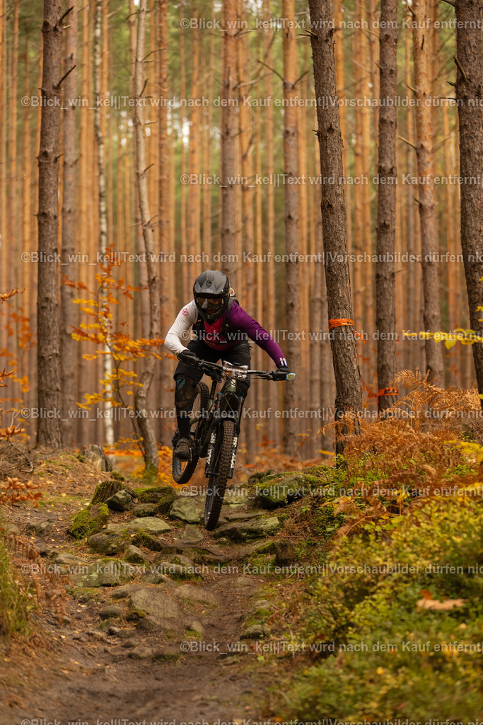 E68A2791 | blick_win_kel