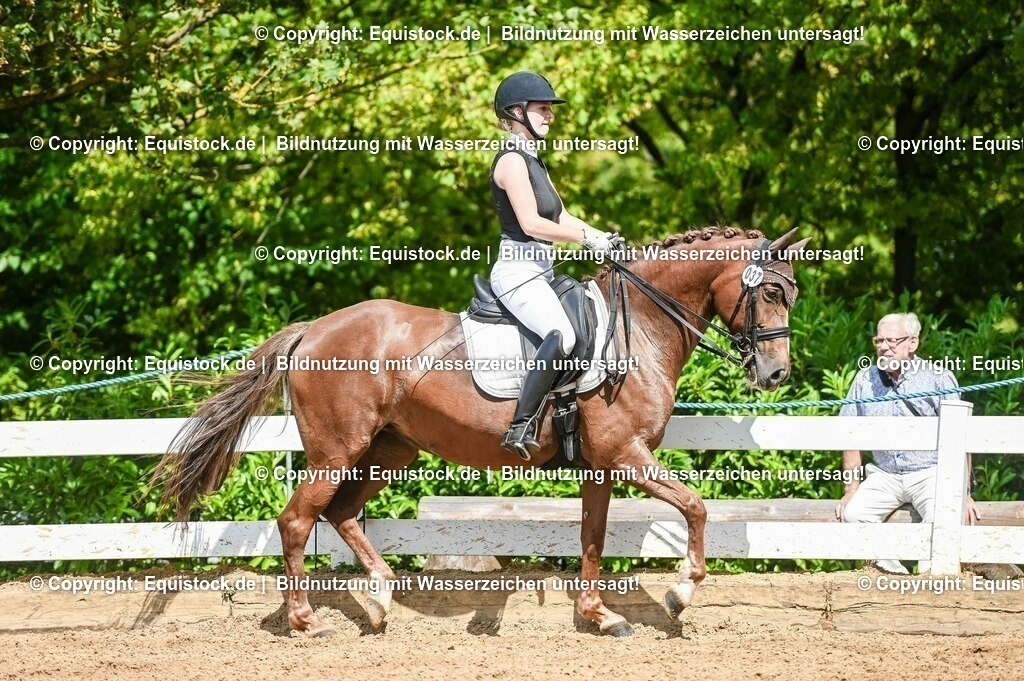 20230716_01_Dressurprüfung Kl.M_0325 | equistock