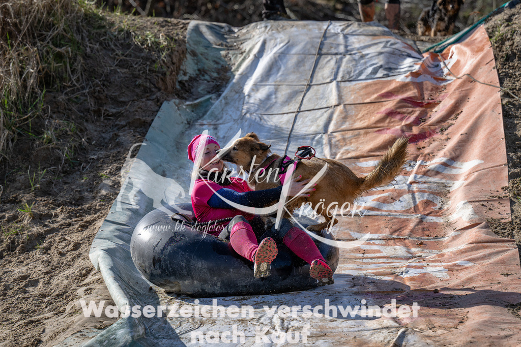 1505_ZZ90916-Bearbeitet | kk-dogfotos