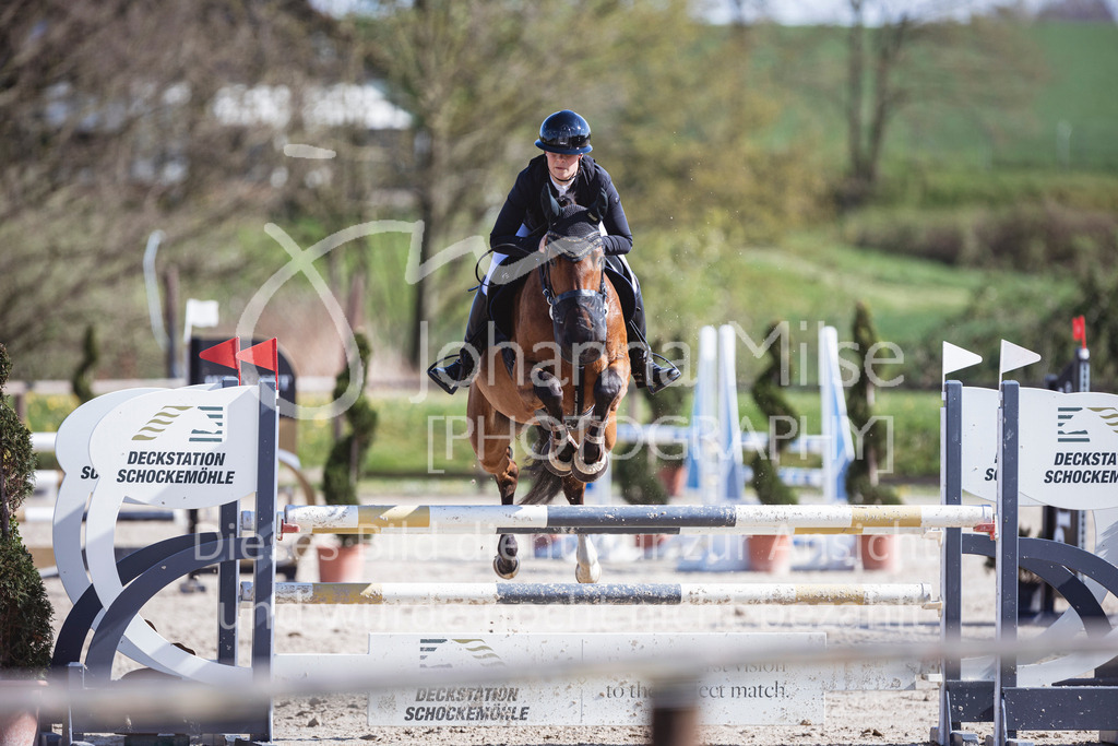 250419_Frühlingsfest_Stil-L-655 | Deine schönsten Turniermomente als professionelle Fotos! Entdecke hochwertige Pferdesport-Fotografie im Online-Shop. Jetzt Fotos finden & bestellen!