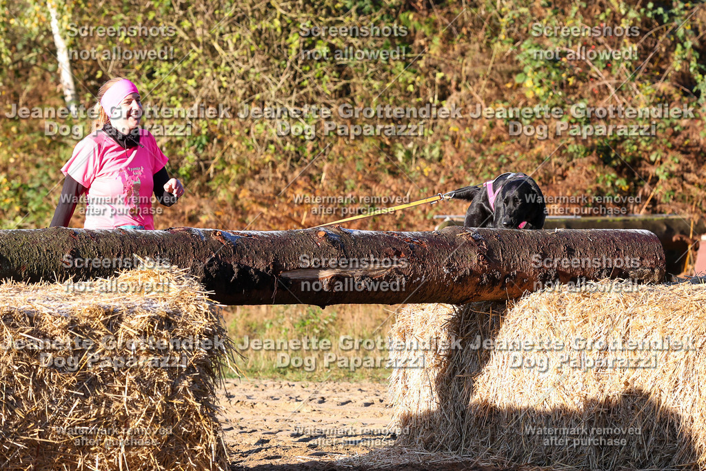 Dog Paparazzi - Strongdog 10-25-835 | Dog Paparazzi Jeanette Grottendiek Fotografie & Videografie - Realisiert mit Pictrs.com