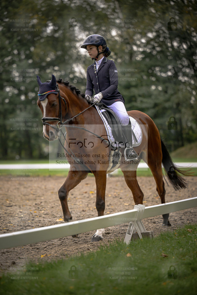 FOTO OGER | Entdecke hochwertige Reitturnierfotos von Foto Oger. Professionell, emotional und authentisch – jetzt Lieblingsmomente im Shop bestellen. - Realisiert mit Pictrs.com