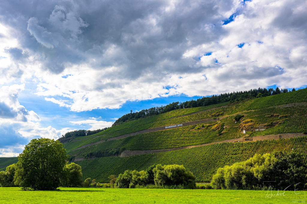 Brauneberger Juffer im Sonnenlicht | Online Foto-Shop von André Engelhardt, Filmemacher und Fotograf. Fine Art Prints, Kunstdrucke, Fotogeschenke, Souvenirs von Mosel, Rhein und mehr. 