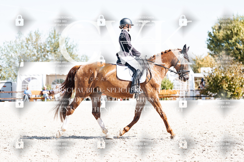 CK903921 | Turnierfotografie Pferdefotografie Trier Rheinland-Pfalz Pferdesport Reitsport Tierfotografie Sportfotografie Pferdevideo Pferdevideografie Equestrianvideography equestrianphotography  - Realisiert mit Pictrs.com
