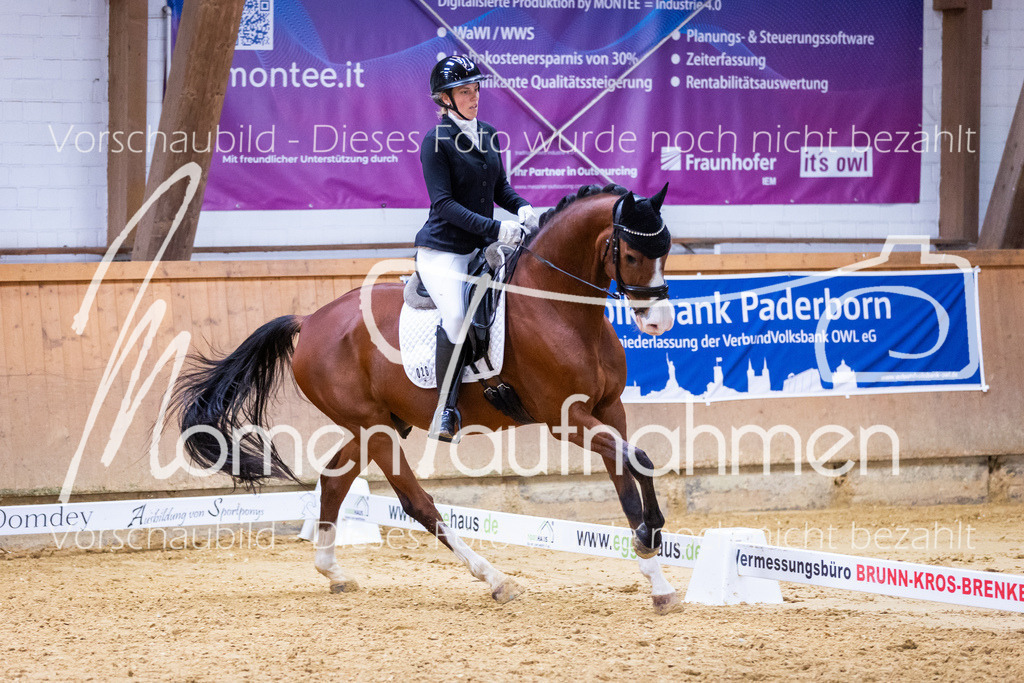 Sth-A-Dre-2St-061 | MomenTaufnahmen Pferdesportfotos